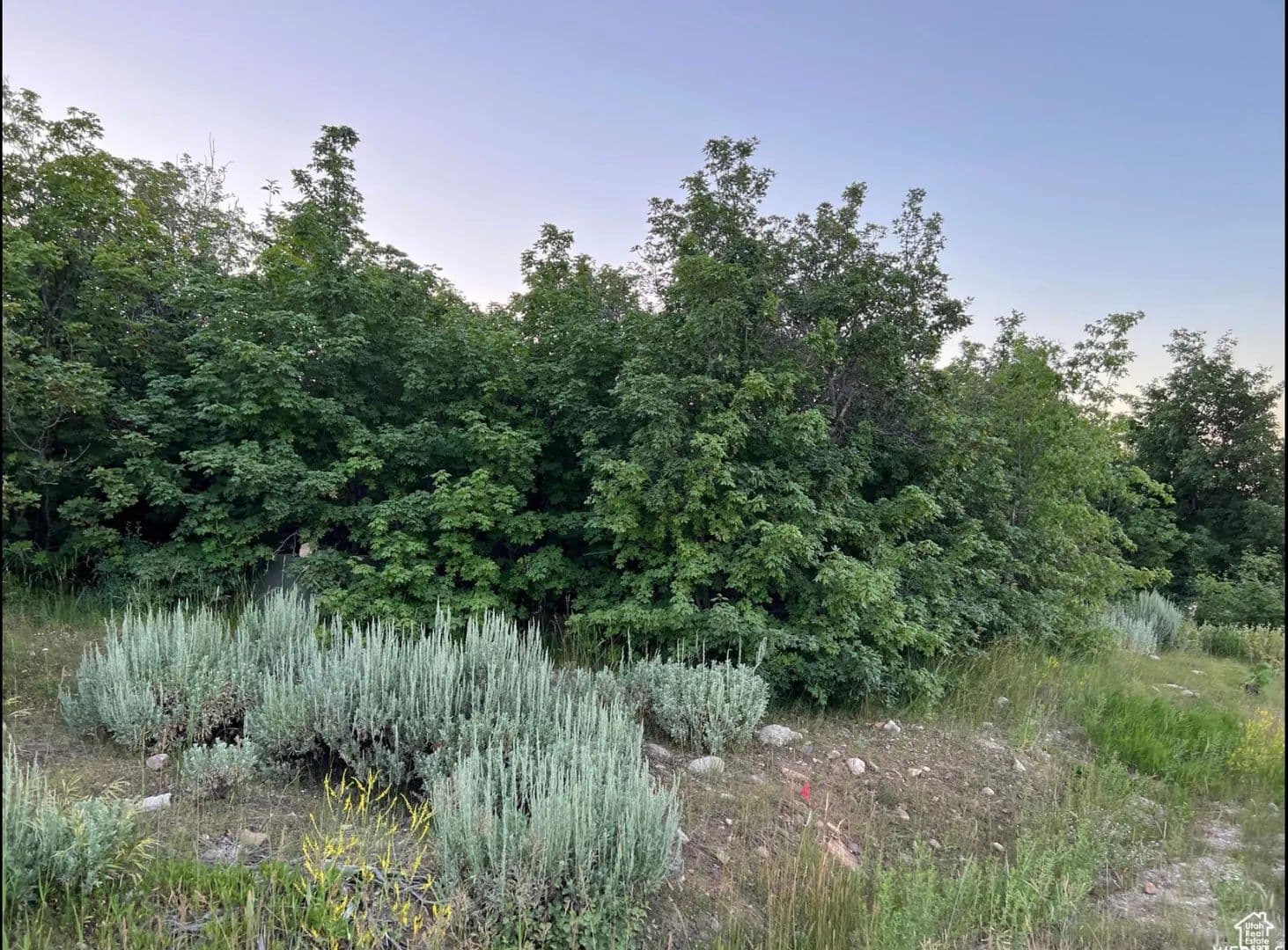 0.22 Acres of Land for Sale in Fish Haven, Idaho - Fish Haven, Idaho, 83287