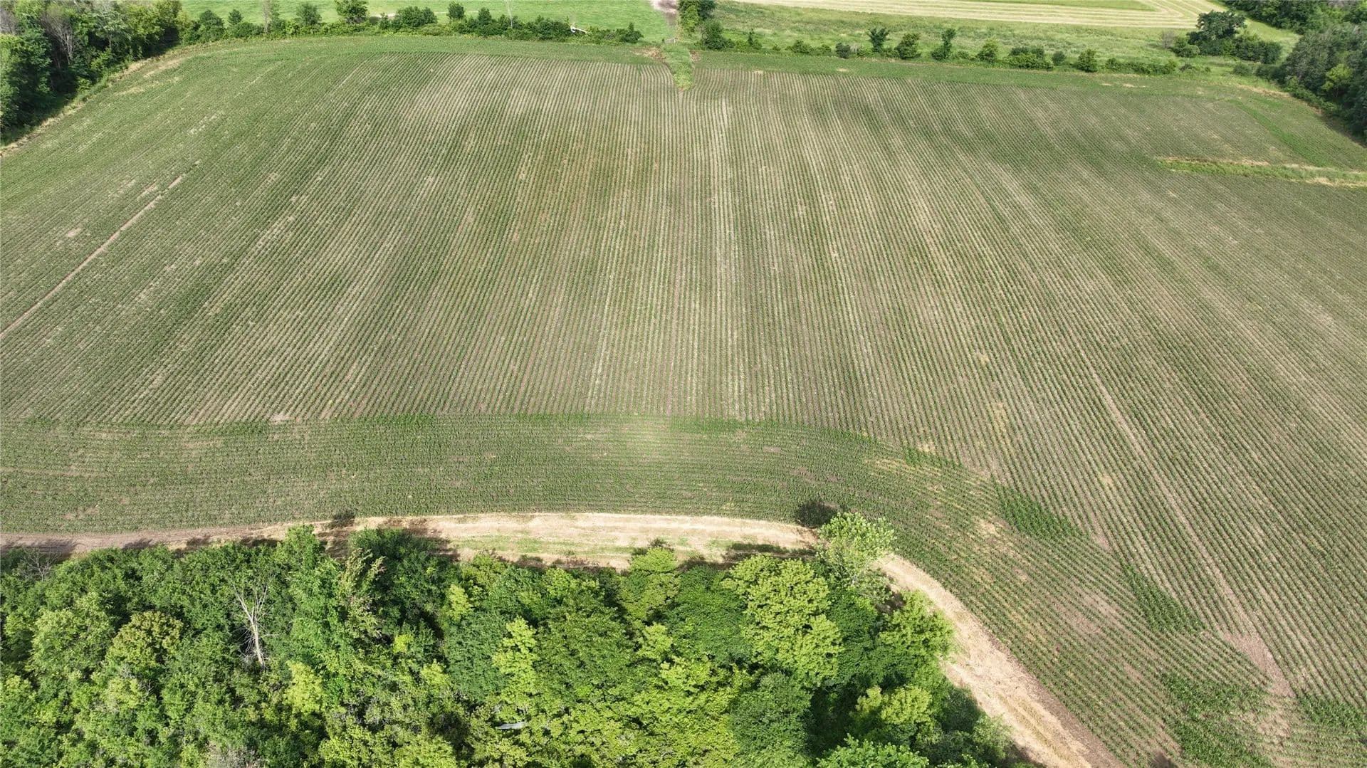 101.82 Acres of Land for Sale in Baldwin, WI - Baldwin, Wisconsin, 54002
