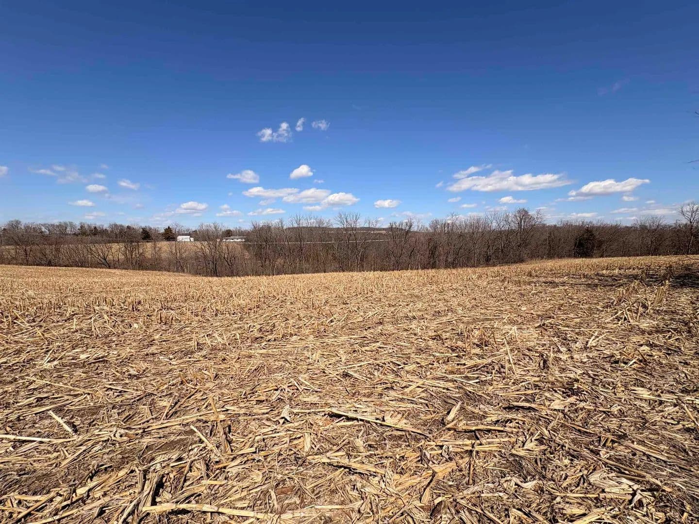 2.38 Acres of Land for Sale in Durango, Iowa - Durango, Iowa, 52039
