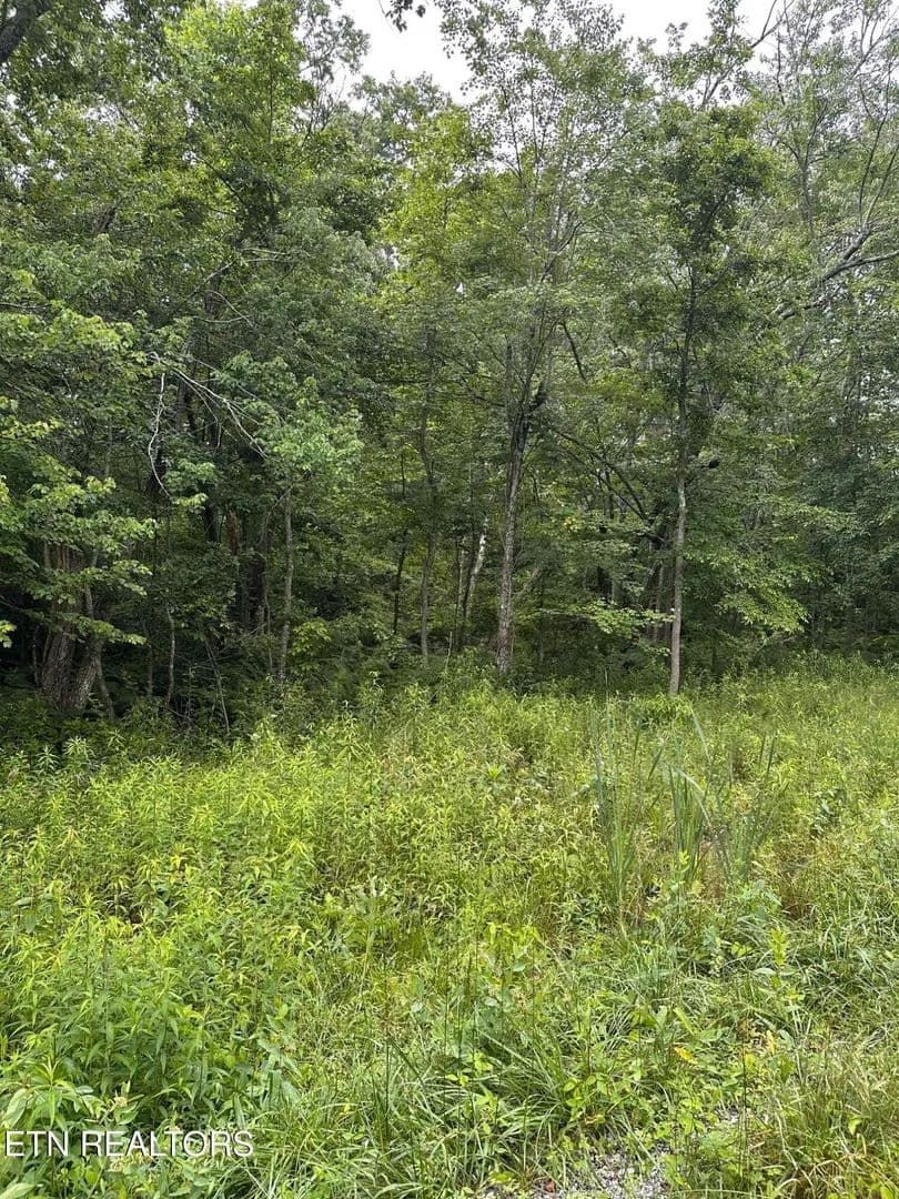 Property from 3119 Crow Drive - KW - Crossville, Tennessee, 38572