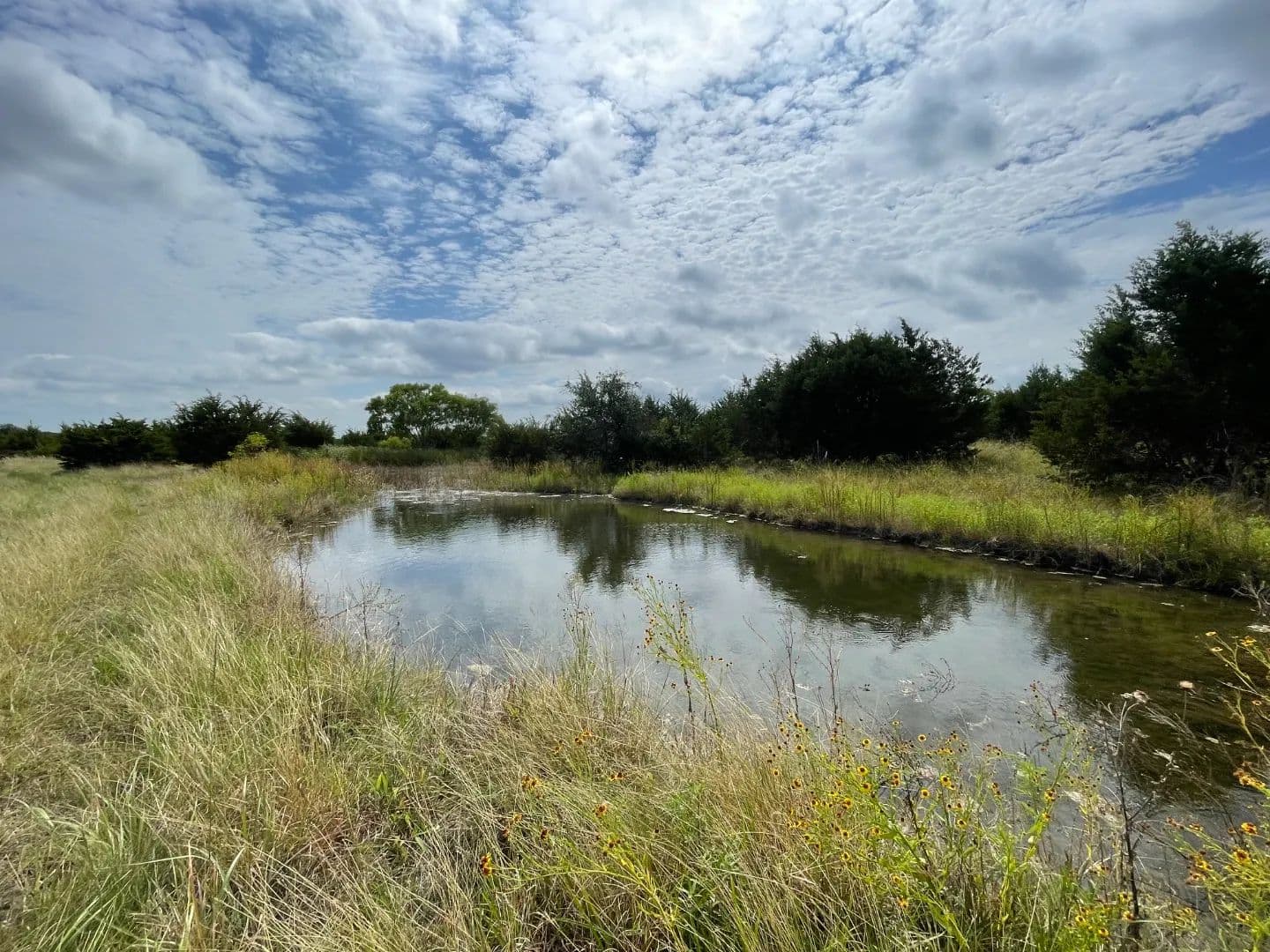 95 Unrestricted Acres - Burnet County - Lampasas, Texas, 76550