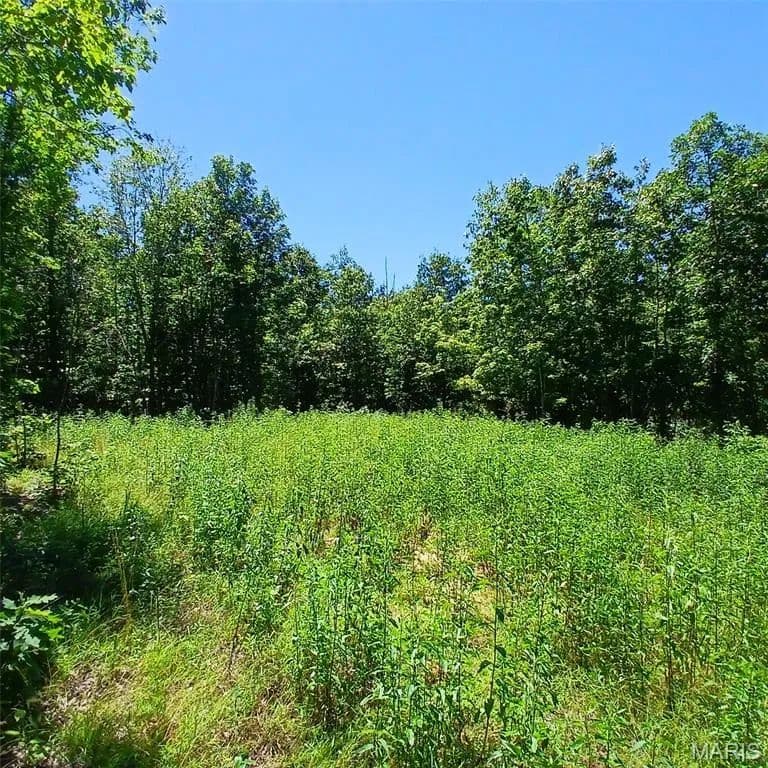 Property from 0000000 Easement - KW - Annapolis, Missouri, 63620