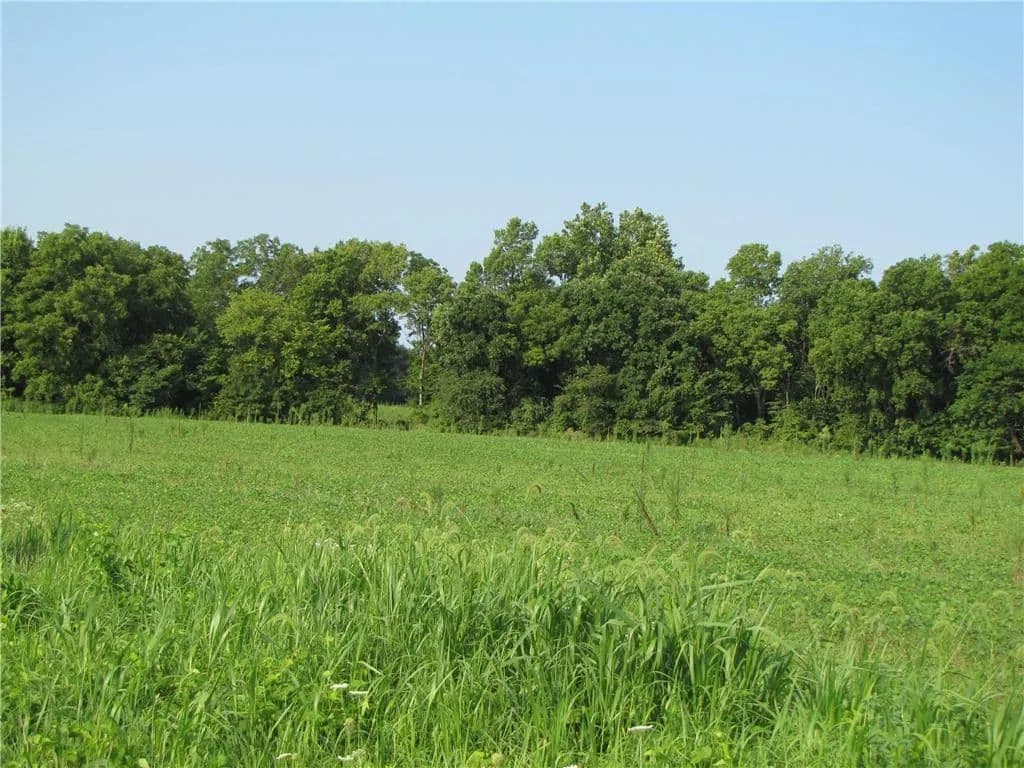 Property from S Holmes Rd - KW - Drexel, Missouri, 64742