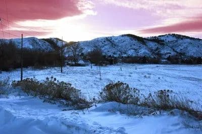GOLDEN FARM in Golden, Colorado - photo 10