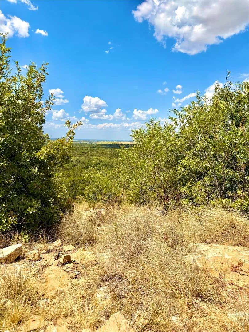 16.26 Acres of Land for Sale in Desdemona, TX - Desdemona, Texas, 76445