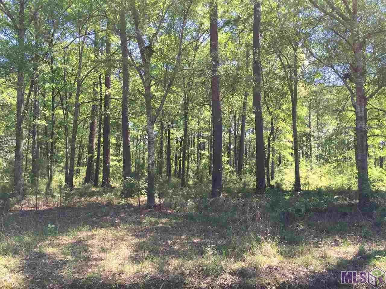 Property from 27654 WISCONSIN LN - KW - Holden, Louisiana, 70744