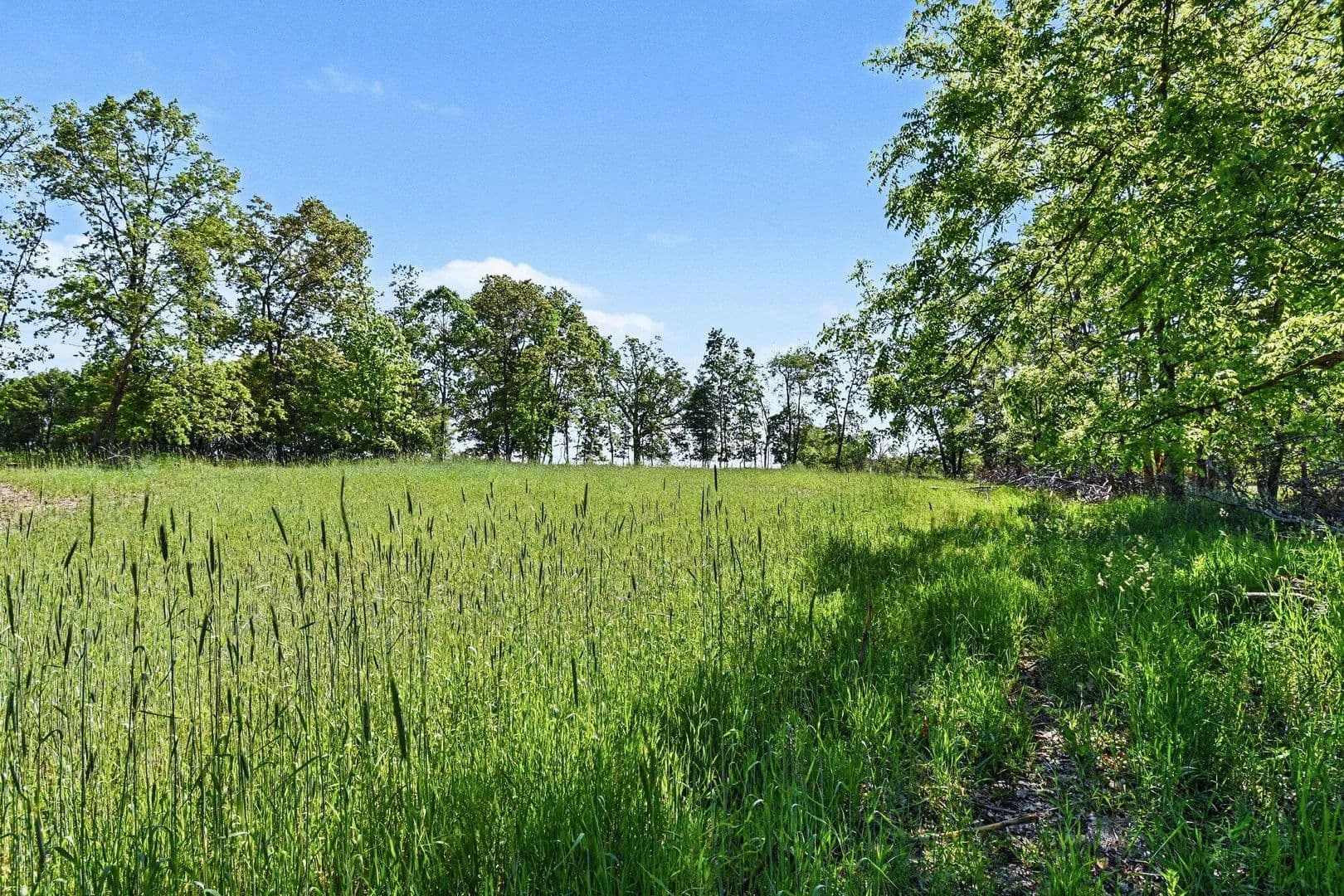Property from 0 E Charles Road - KW - Ionia, Michigan, 48846