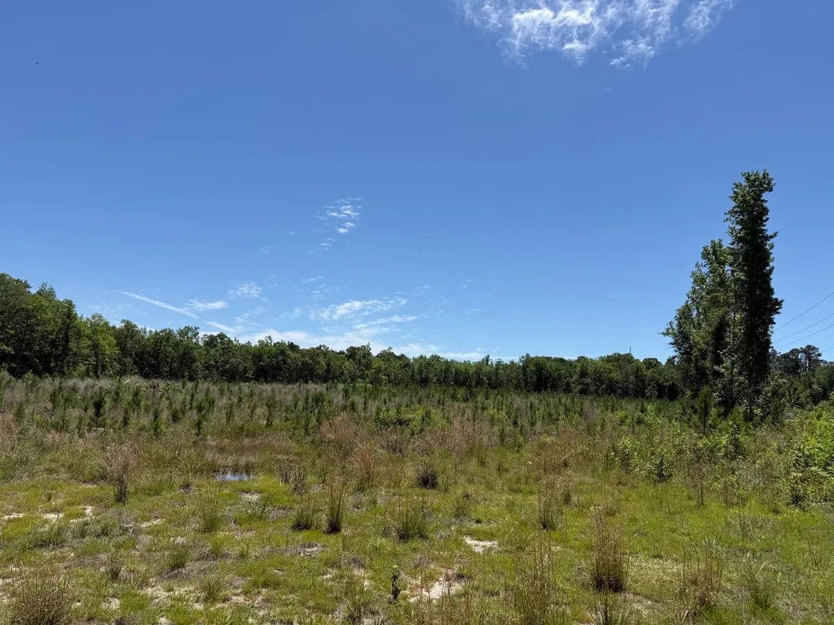 Vernon South - Vernon, Florida, 32462