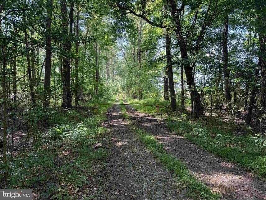 Property from DODLYT ROAD (TRACT: BK2932) - KW - Heathsville, Virginia, 22473