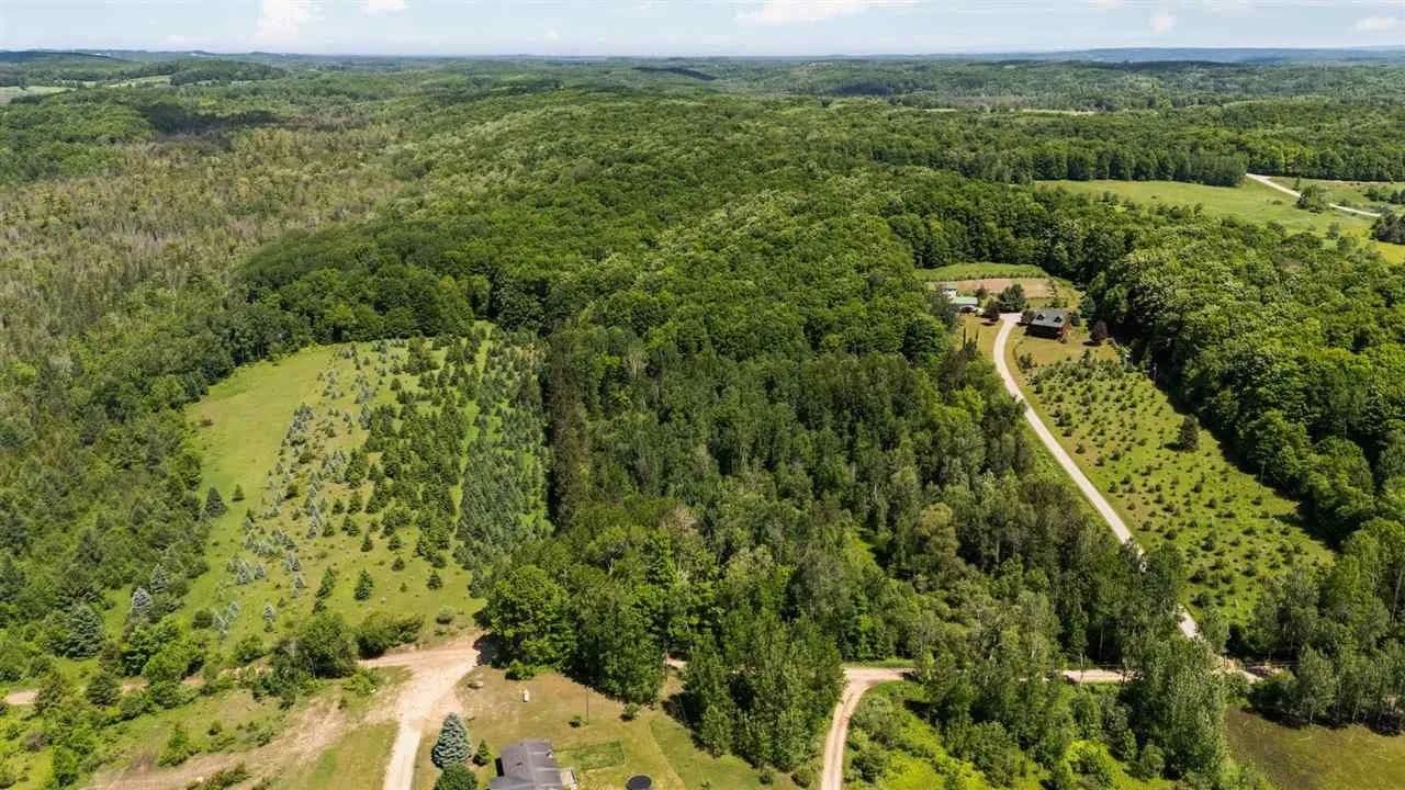 9.69 Acres of Land for Sale in Ellsworth, MI - Ellsworth, Michigan, 49729