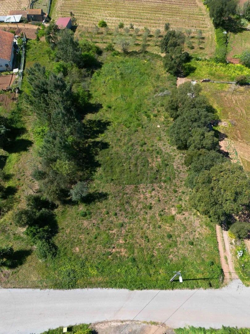 1500 Acres of Land for Sale in Souselas e Botão, Coimbra - land for sale