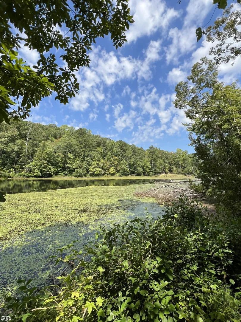 Recreational Property on Lake Judson Near Tuscaloosa - Cottondale, Alabama, 35453