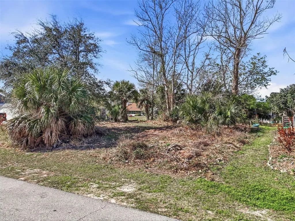 Vacant Land in Palm Coast - land for sale