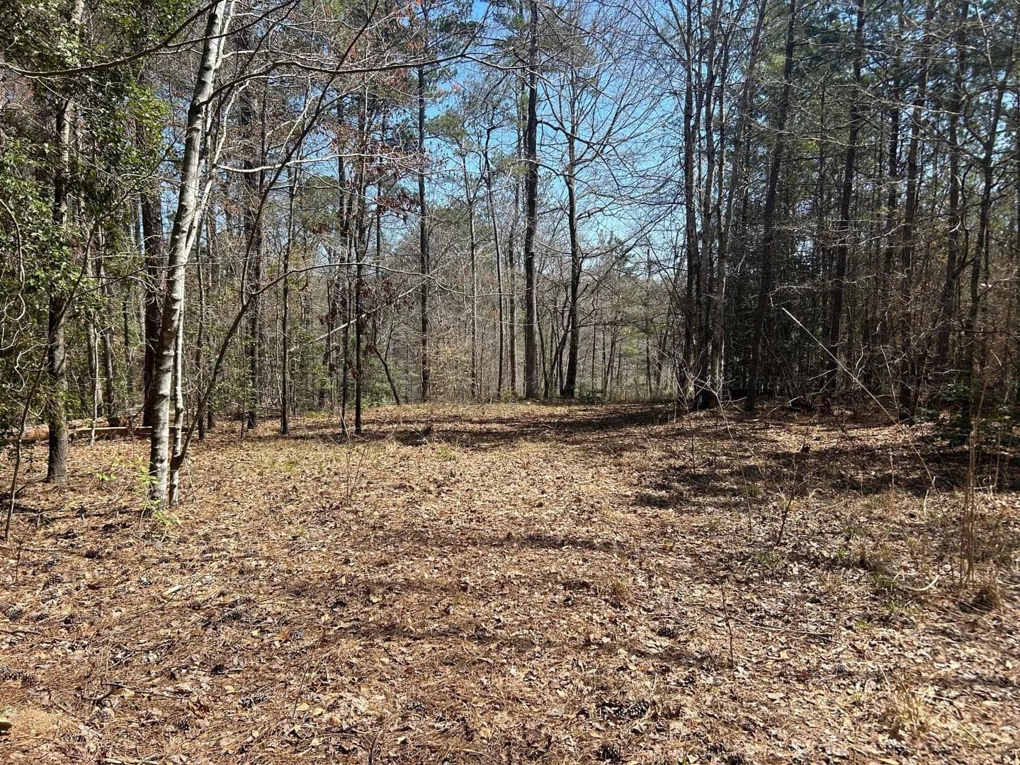 Property from LOT 78 SHORESIDE AT SIPSEY - KW - Double Springs, Alabama, 35553