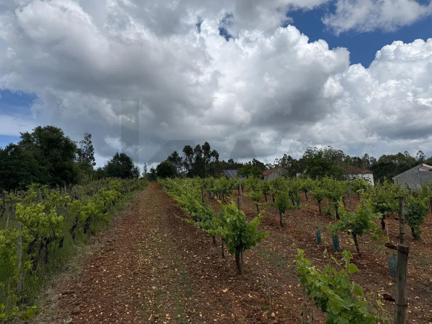 1864.64 Acres of Land for Sale in Antuzede e Vil de Matos, Coimbra - land for sale