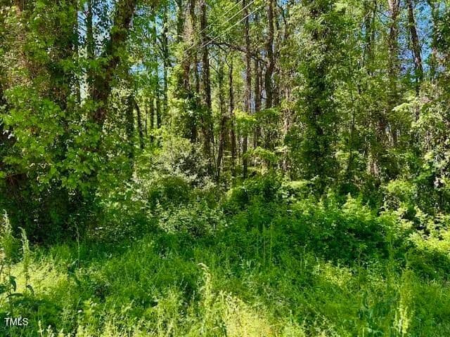 Vacant Land in Henderson