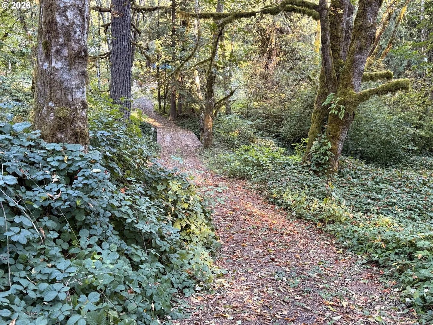 Lots & Land-Other in Cheshire - Cheshire, Oregon, 97419