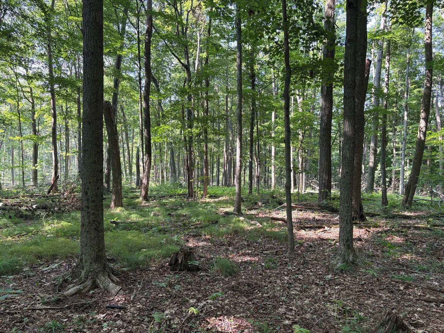 Continental Divide - land for sale