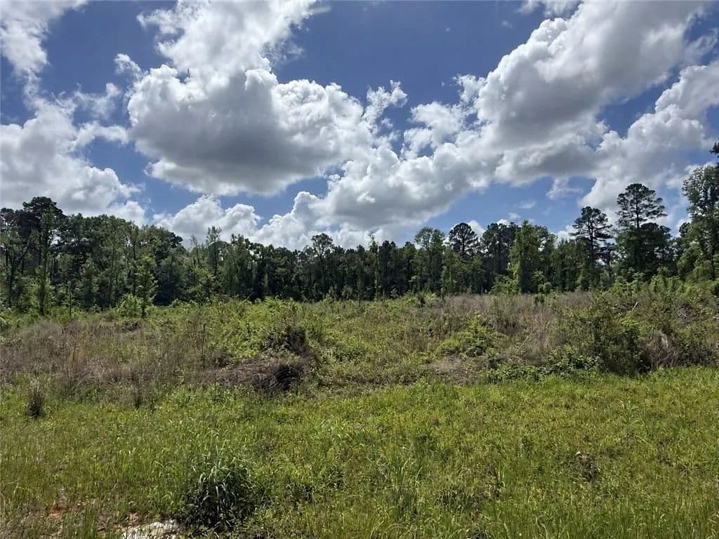 Property from TBD NEWSOME Road - KW - Pineville, Louisiana, 71360