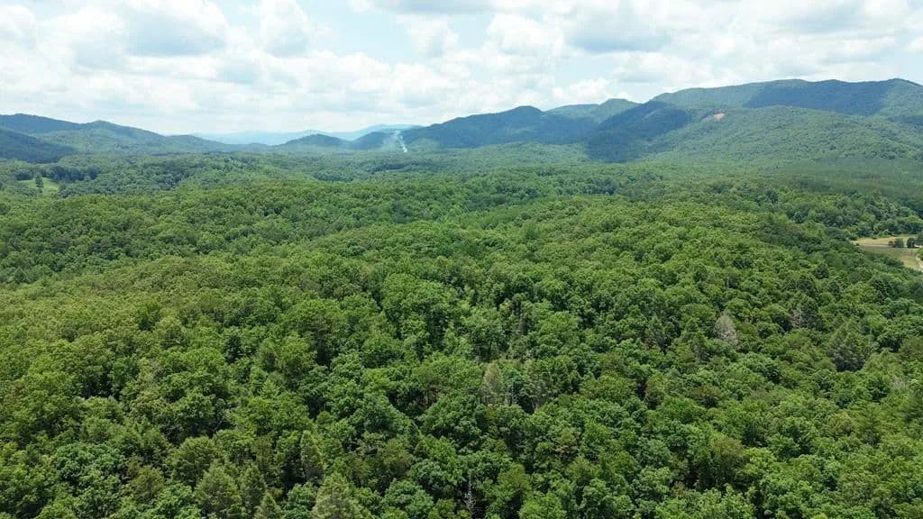 155 Acres of Land for Sale in Turtletown, TN - Turtletown, Tennessee, 37391