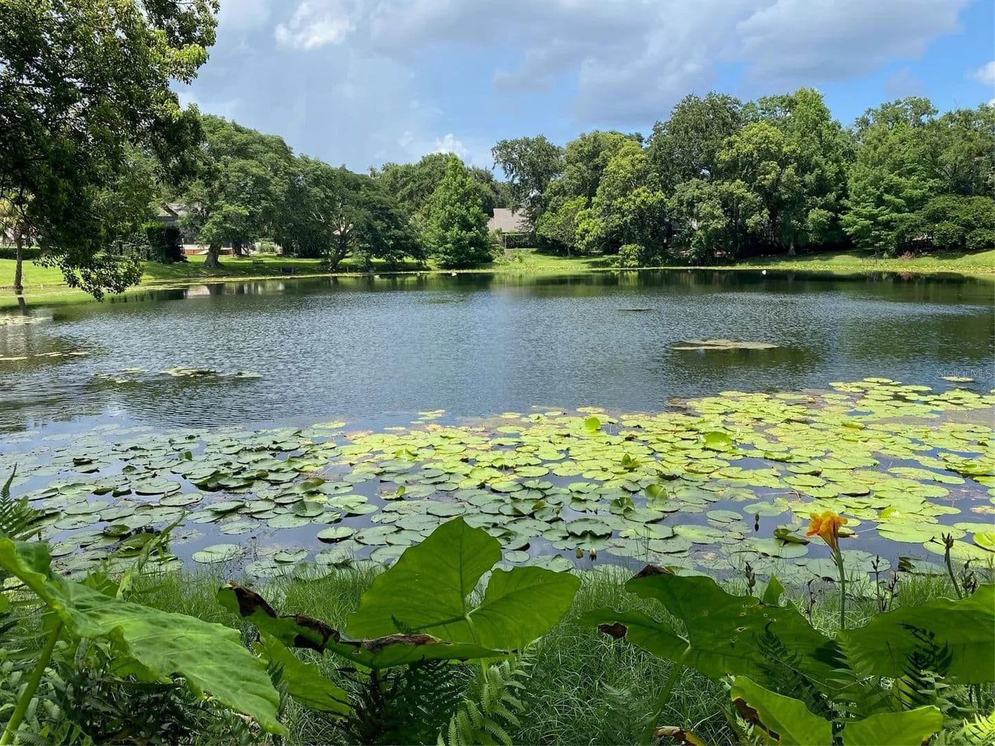 Property from 1113 VIA DEL MAR - KW - Winter Park, Florida, 32789