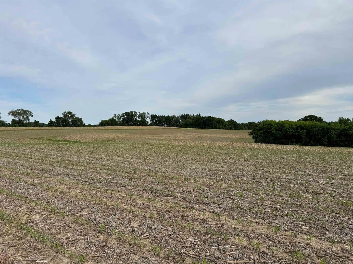 33.01 Acres of Land for Sale in Washington, Wisconsin - Washington, Wisconsin, 53943