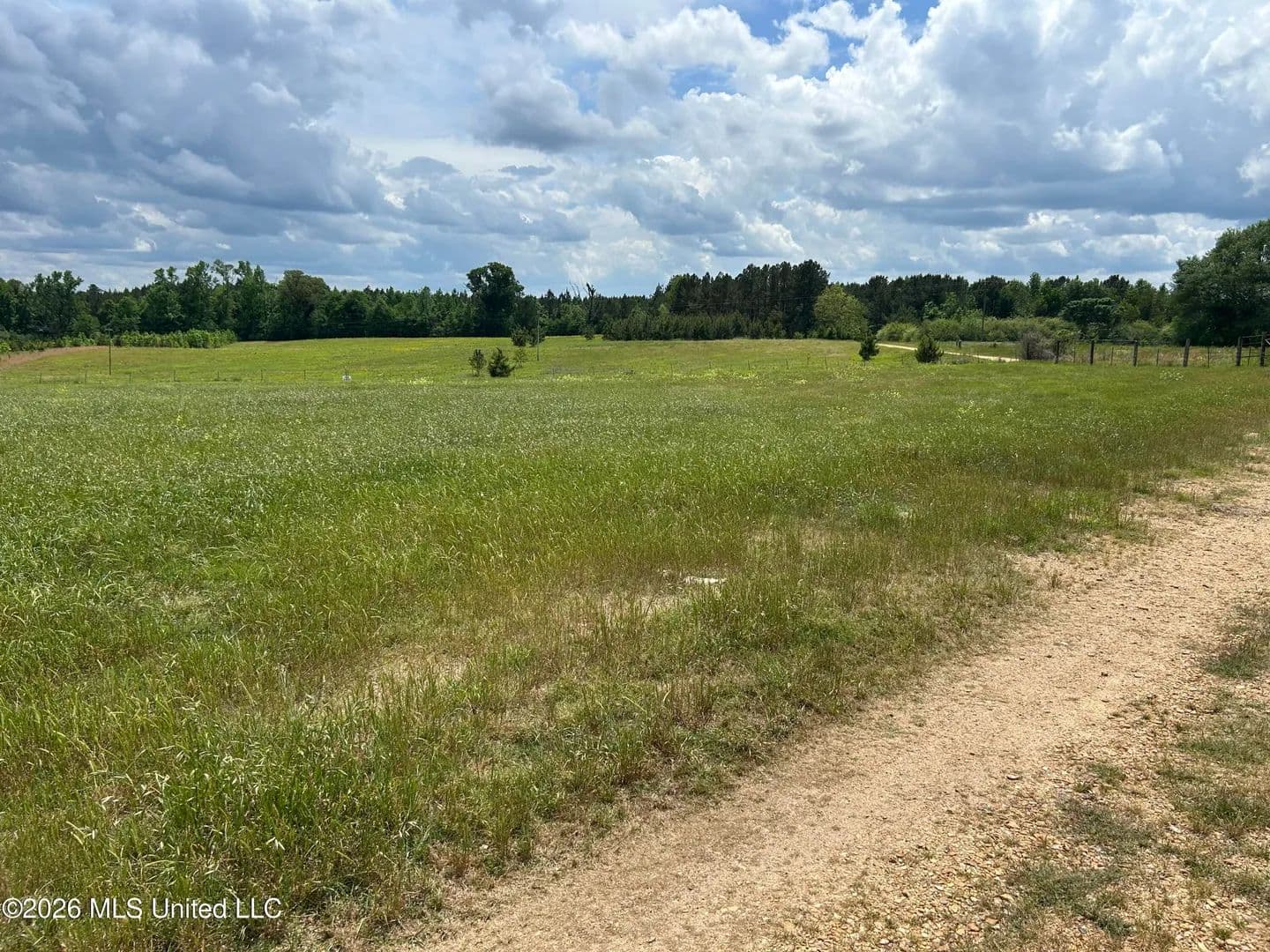 14 Acres of Land for Sale in Brookhaven, MS - Brookhaven, Mississippi, 39601