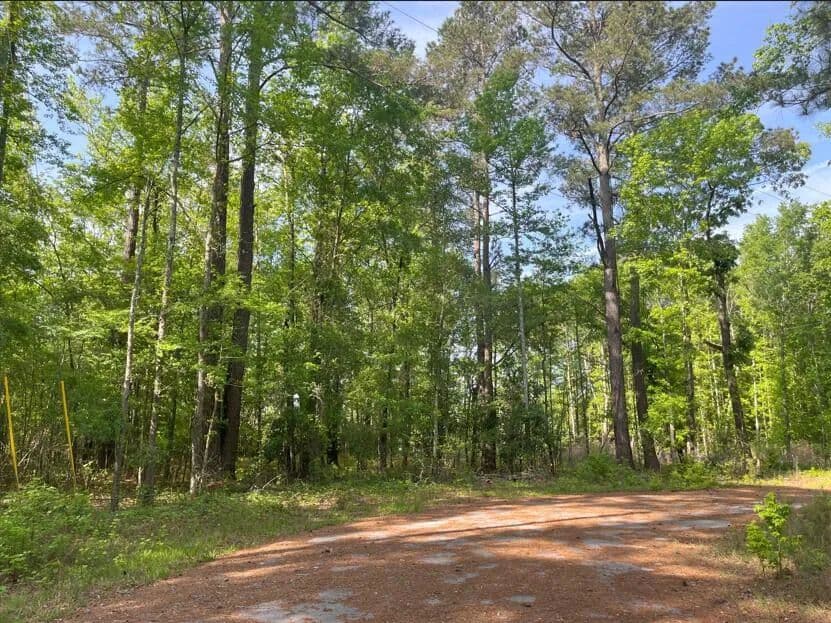 Property from 0 Robin Drive - KW - Bamberg, South Carolina, 29003