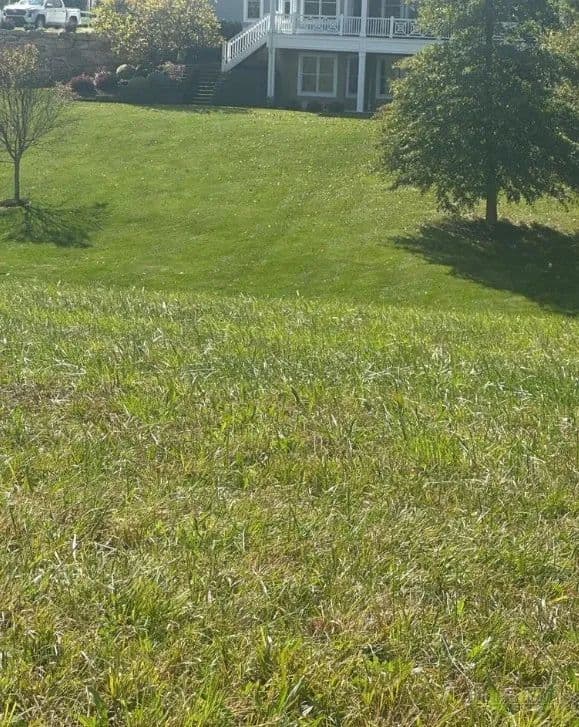 Vacant Land in North Wilkesboro - North Wilkesboro, North Carolina, 28659