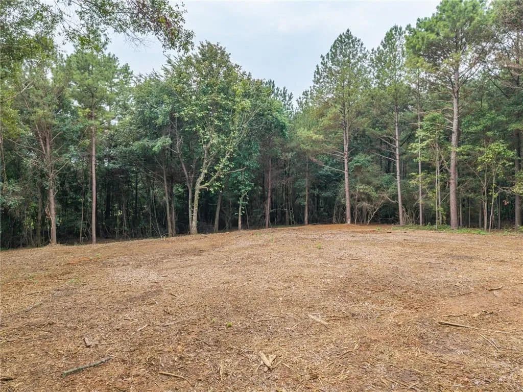 Land -Single Family Acreage in Taylorsville - Taylorsville, Georgia, 30178