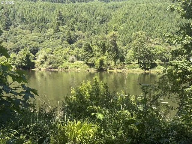 5.91 Acres of Land for Sale in Mapleton, Oregon - Mapleton, Oregon, 97453