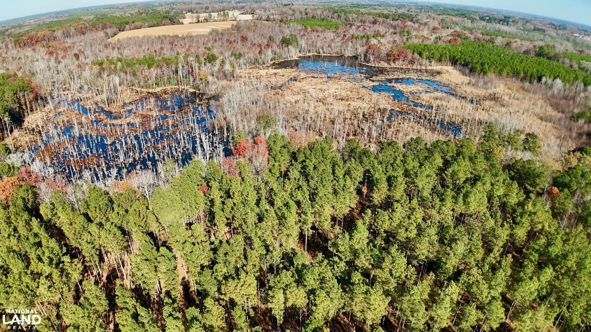 Halifax County Southern Pine Plantation - Littleton, North Carolina, 27850