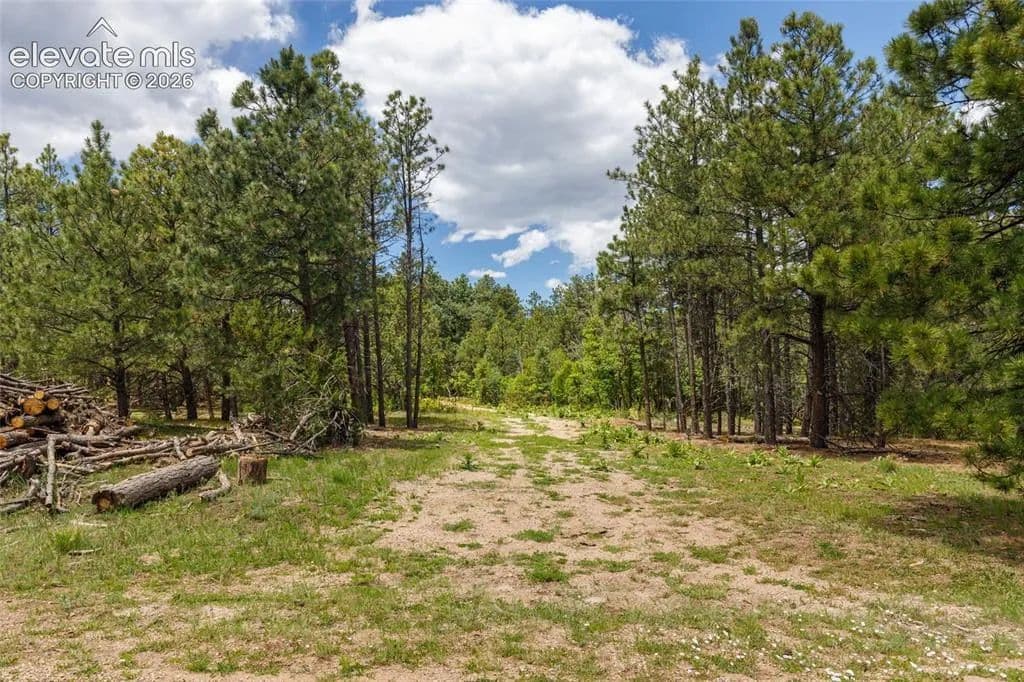 Property from 8719 Ponderosa Pine Drive - KW - Beulah, Colorado, 81023