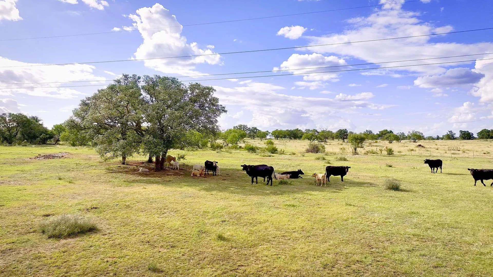 40 Acres of Land for Sale in Llano, Texas - Llano, Texas, 78643