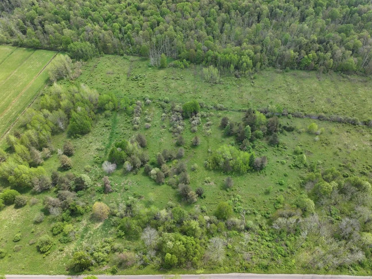 7 acres Recreational Land, Hunting Land and Building Lot in South Dayton NY Dye Road - South Dayton, New York, 14138