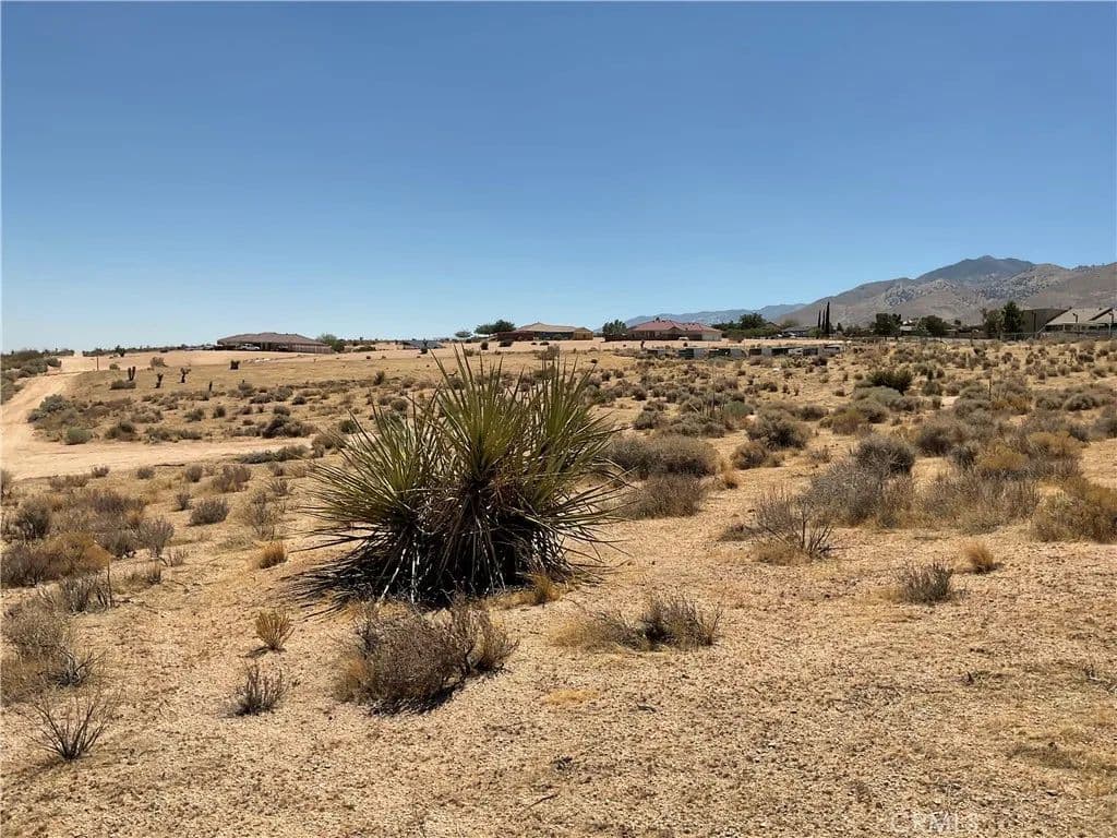 Vacant Land in Apple Valley - Apple Valley, California, 92308