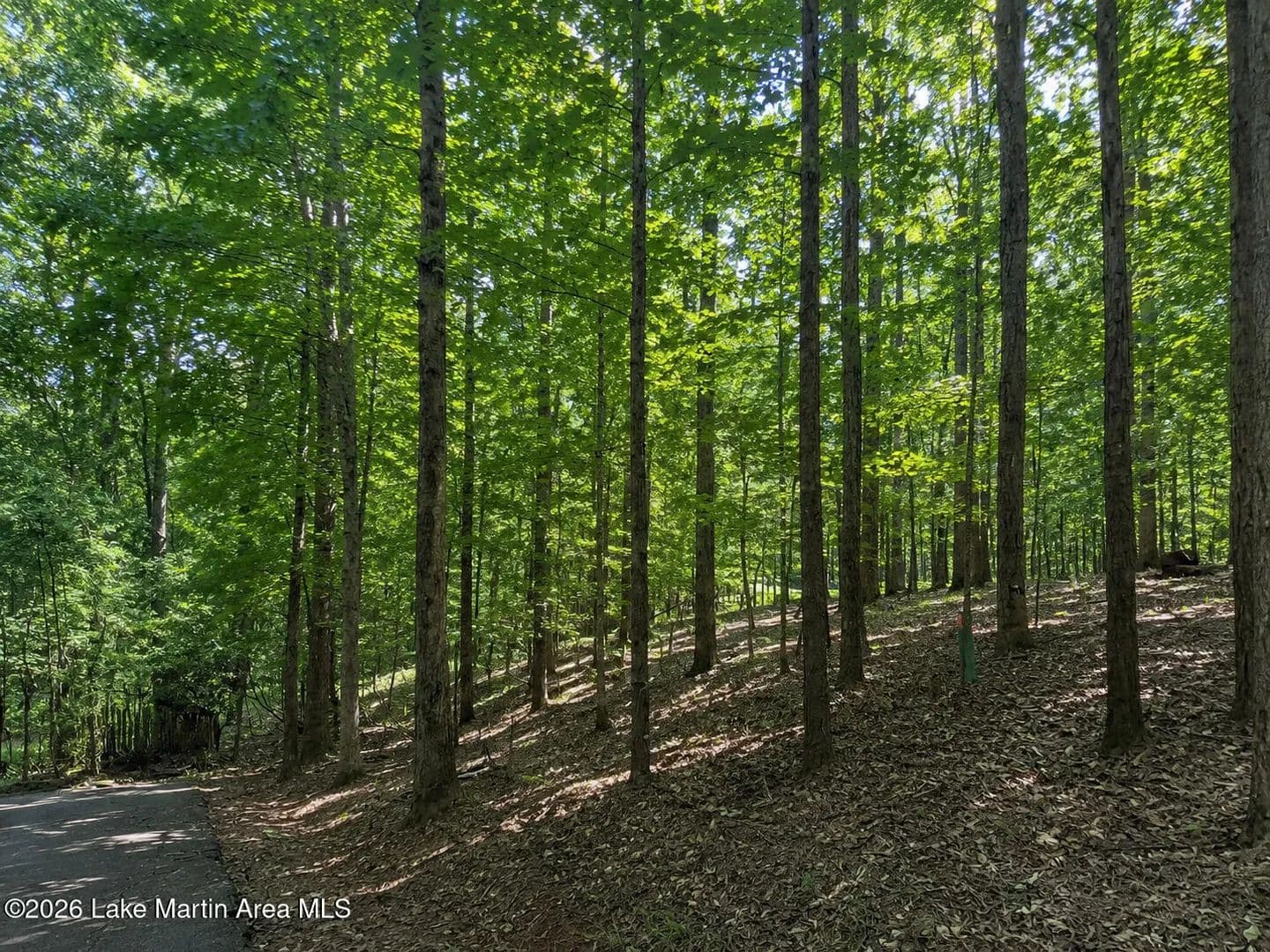 Land for Sale in Dadeville, Alabama - Dadeville, Alabama, 36853