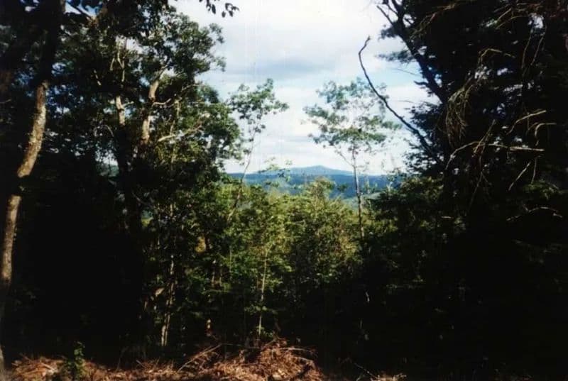 Vacant Land in Surry - land for sale