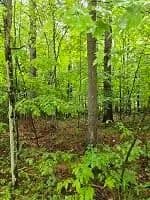 Property from # 60 Lot Signor Lane - KW - Jay, New York, 12941