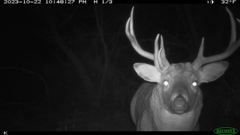 Hunting Land for Sale in Richland County, Wisconsin