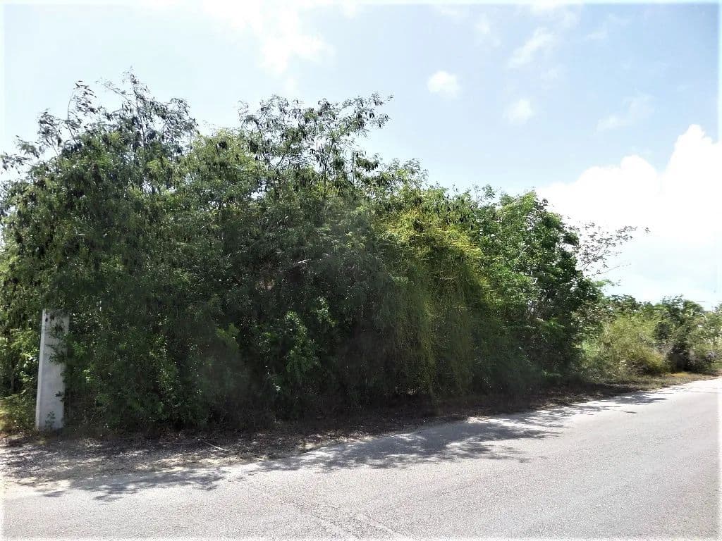 Vacant Land in Deadmans Cay, Long Island - land for sale
