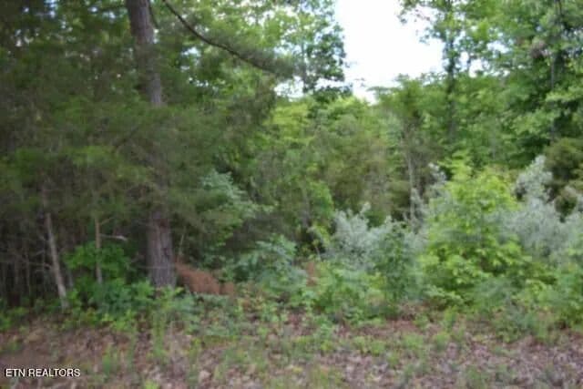 Property from 2.75ac Beauchamp Rd - KW - Burkesville, Kentucky, 42717
