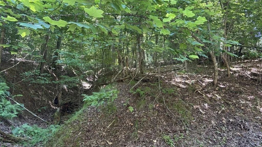 Property from LT1178 Optic Court - KW - Ellijay, Georgia, 30540