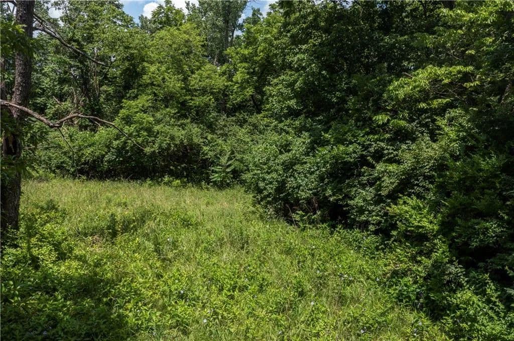 34520 Acres of Land for Sale in Kansas City, Missouri - Kansas City, Missouri, 64132