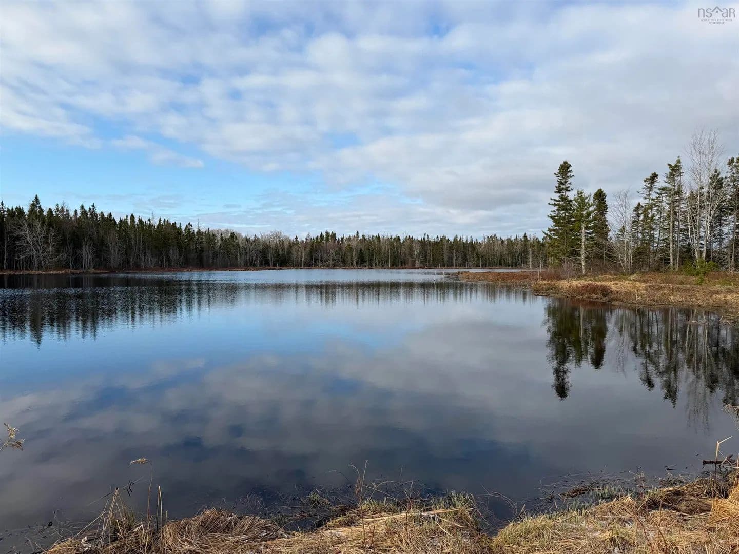 Property from Palmer Road #Lot CL5 - KW - land for sale