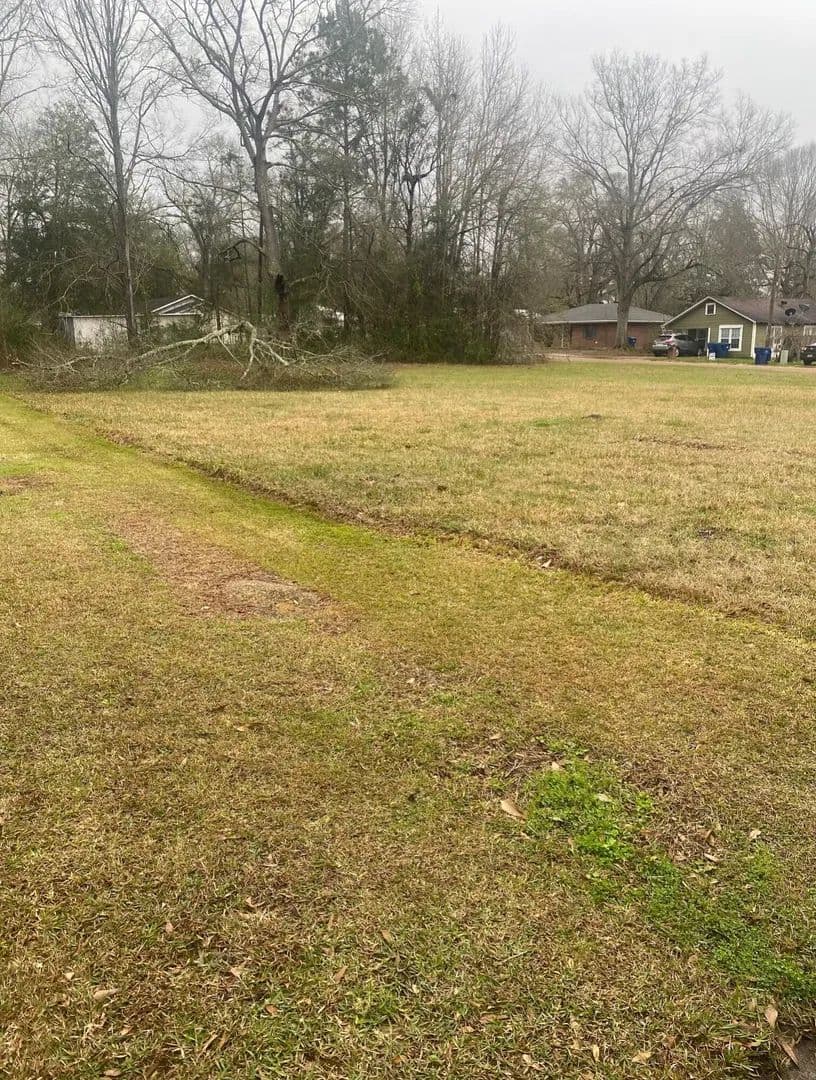 Lots & Land-Other in DeRidder - Deridder, Louisiana, 70634