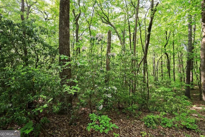 Property from 0 Amicalola Drive - KW