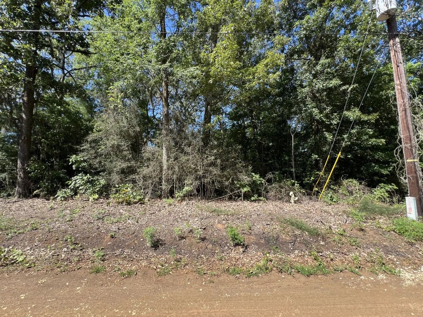 Land -Single Family Acreage in Many - Many, Louisiana, 71449