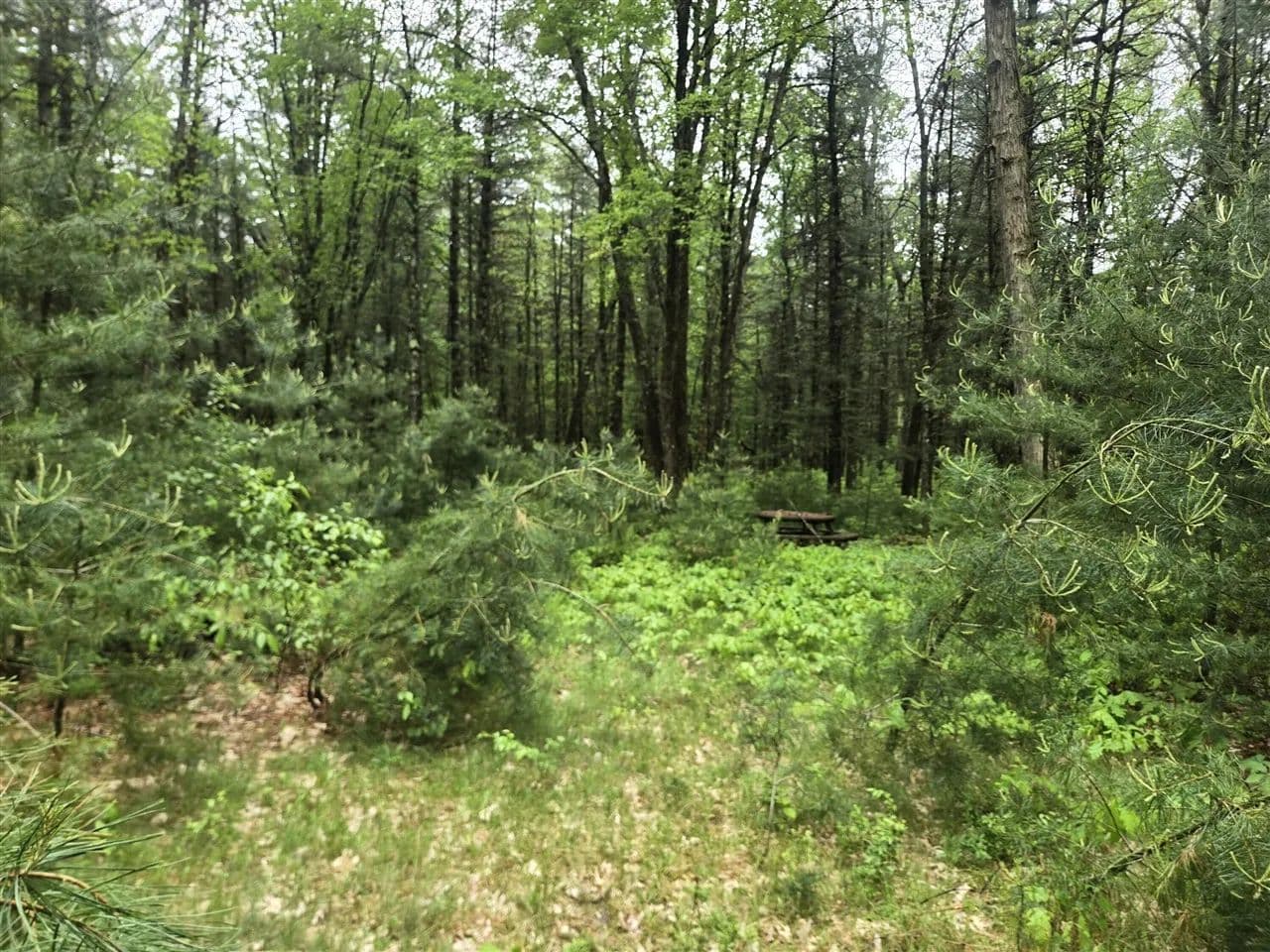Property from 2709 S Jenny - KW - Chase, Michigan, 49623