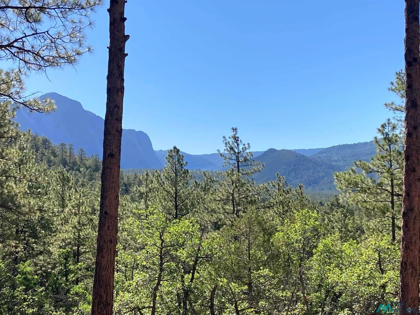 5.17 Acres of Land for Sale in Chama, NM - Chama, New Mexico, 87520